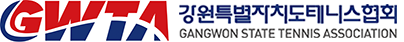 강원특별자치도 테니스협회